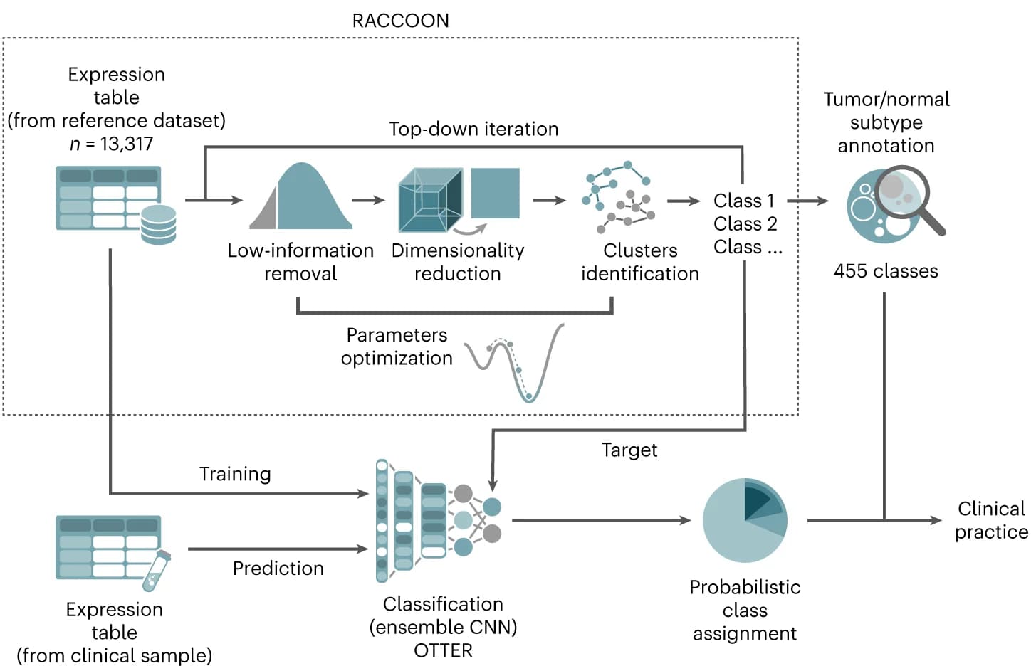 Open access visualization of Workflow, Flowchart, RNA-seq, Tumor Subtype Identification, RACCOON