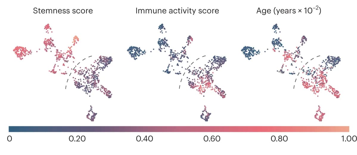 Open access visualization of Scatter Plot, UMAP, UMAP Projection, Stemness Score, Immune Activity Score