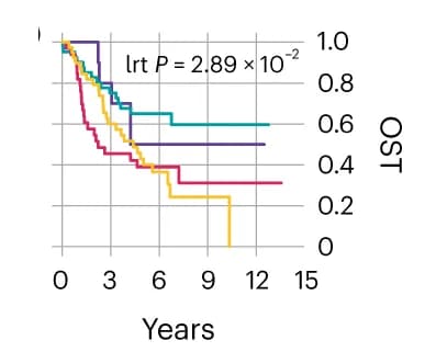 Open access visualization of Survival Curve, Line Step, Overall survival, Neuroblastoma, Prognostic stratification