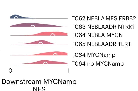 Open access visualization of Ridge Plot, Density Plot, Gene set enrichment score, MYCN amplification, Neuroblastoma subtypes