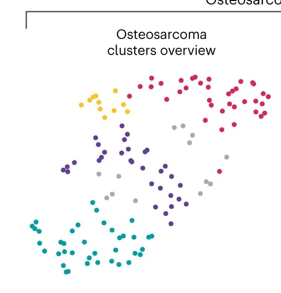 Open access visualization of Scatter Plot, UMAP, PCA, UMAP projection, Osteosarcoma