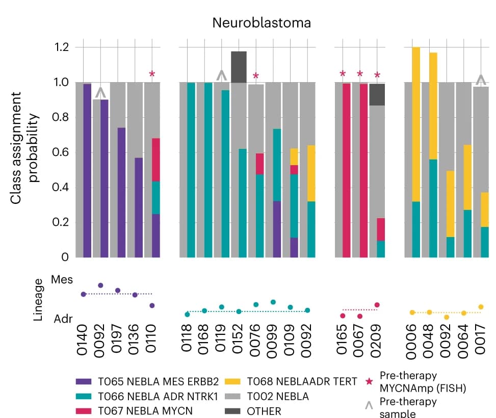 Open access visualization of Stacked Bar Plot, Scatter Plot, Line Plot, Classification Probabilities, Neuroblastoma Samples