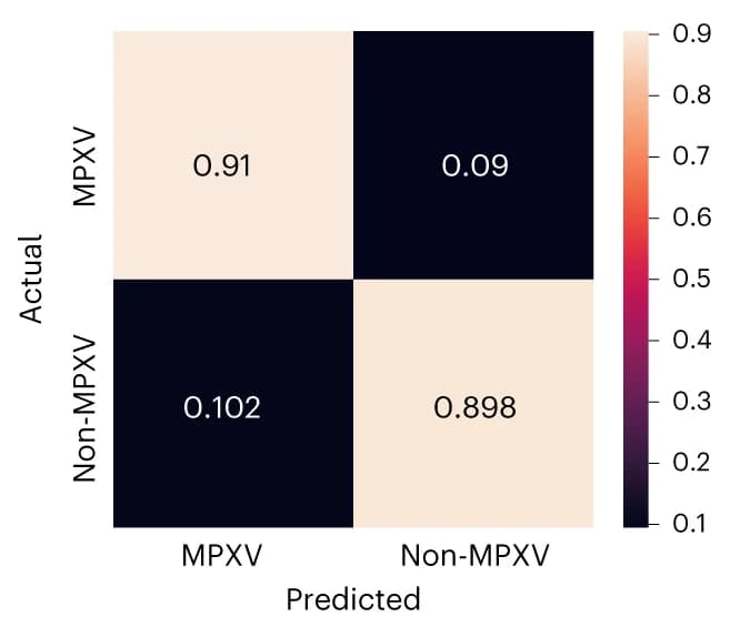 Open access visualization of Heatmap, Confusion Matrix, Testing Cohort, True Positives, True Negatives