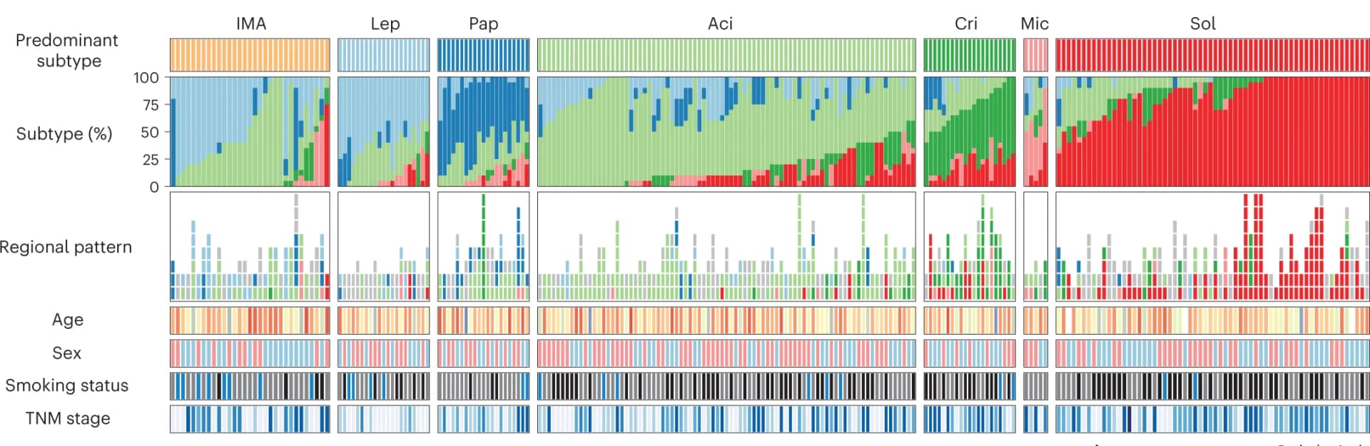 Open access visualization of Stacked Bar Plot, Bar Plot, Heatmap, TRACERx, LUAD Cohort