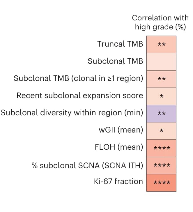 Open access visualization of Heatmap, Genomic Variables, High-Grade Patterns, Tumor, Spearman’s Rank Correlation Coefficient
