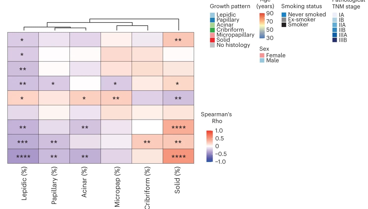 Open access visualization of Heatmap, Clustered, Genomic Variables, Growth Pattern, Tumor
