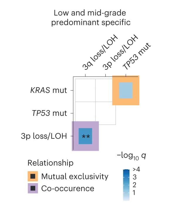 Open access visualization of Heatmap, Gene Mutations, Chromosome Arm SCNAs, Low-Grade Tumors, Mutual Exclusivity