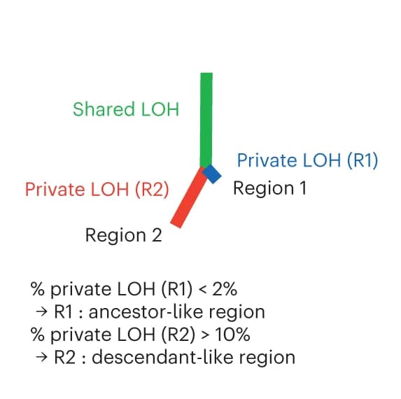 Open access visualization of Flowchart, Ancestor-like Regions, Descendant-like Regions, Loss of Heterozygosity, Cytoband