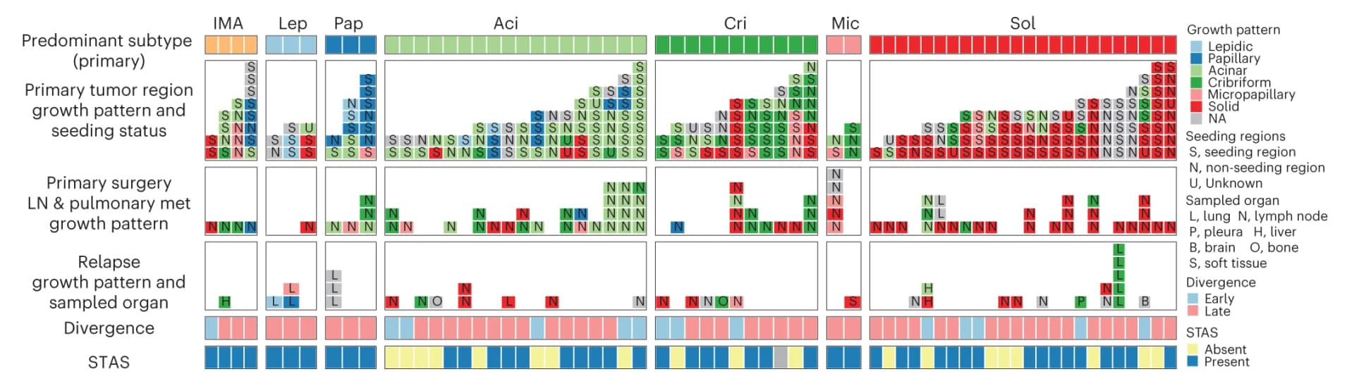 Open access visualization of Heatmap, Metastasis samples, TRACERx LUAD cohort, Primary tumor, Seeding clones