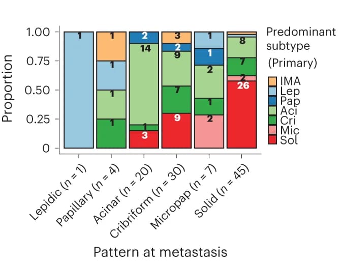 Open access visualization of Stacked Bar Plot, Growth pattern, Metastasis samples, Metastatic samples, Primary tumor
