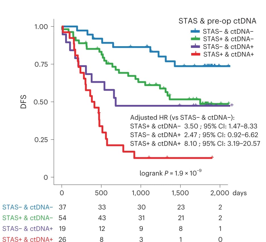 Open access visualization of Survival Curve, Line Step, KaplanMeier Curves, Disease-Free Survival, STAS