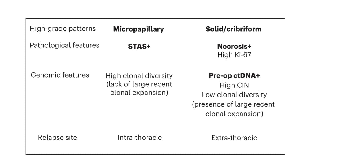 Open access visualization of Table Image, High-Grade Patterns, Pathological Features, Genomic Features, Relapse Site