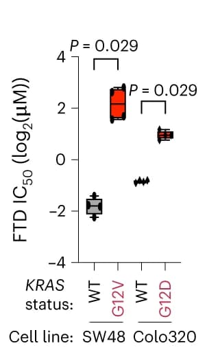 Open access visualization of Box Plot, IC50, FTD, KRAS WT, KRAS G12