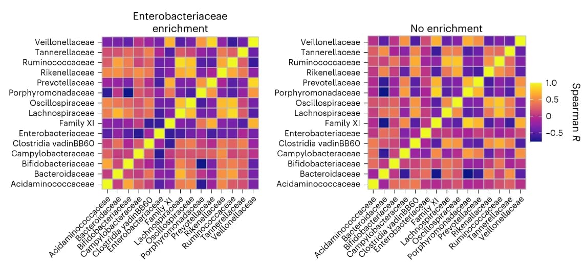 Open access visualization of Heatmap, Correlation matrices, Bacterial families, ICU day 3