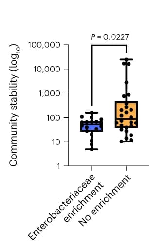 Open access visualization of Box Plot, Microbiota community stability index, Enterobacteriaceae, Mann-Whitney U test