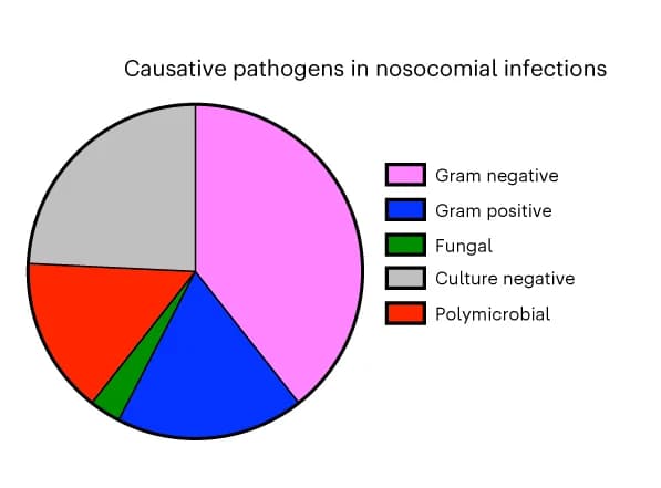 Open access visualization of Pie Chart, Pathogens, Nosocomial infections