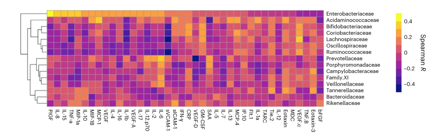 Open access visualization of Heatmap, Clustered, Plasma, Inflammatory Mediators