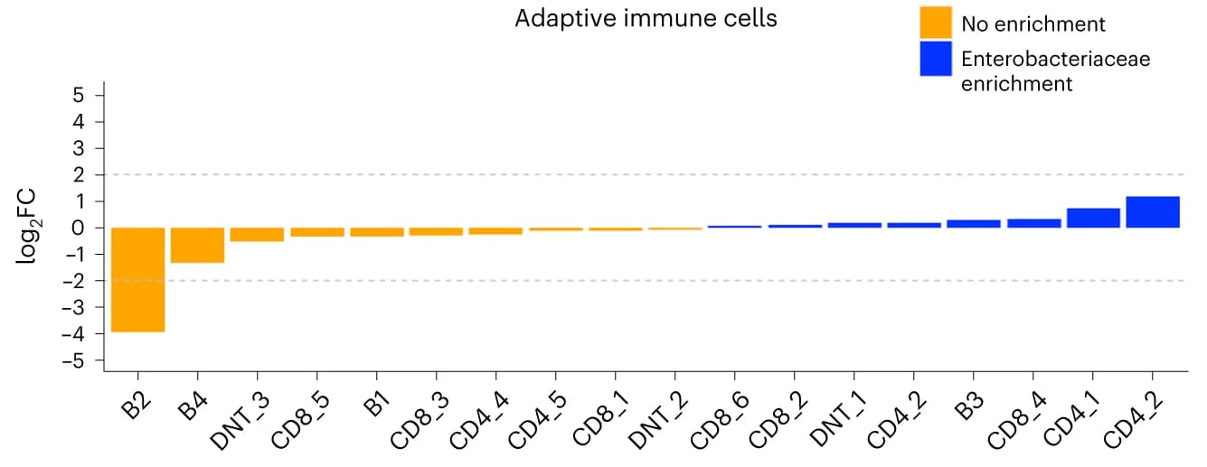 Open access visualization of Bar Plot, Abundance Comparison, Adaptive Immune Cells, T Cells, B Cells