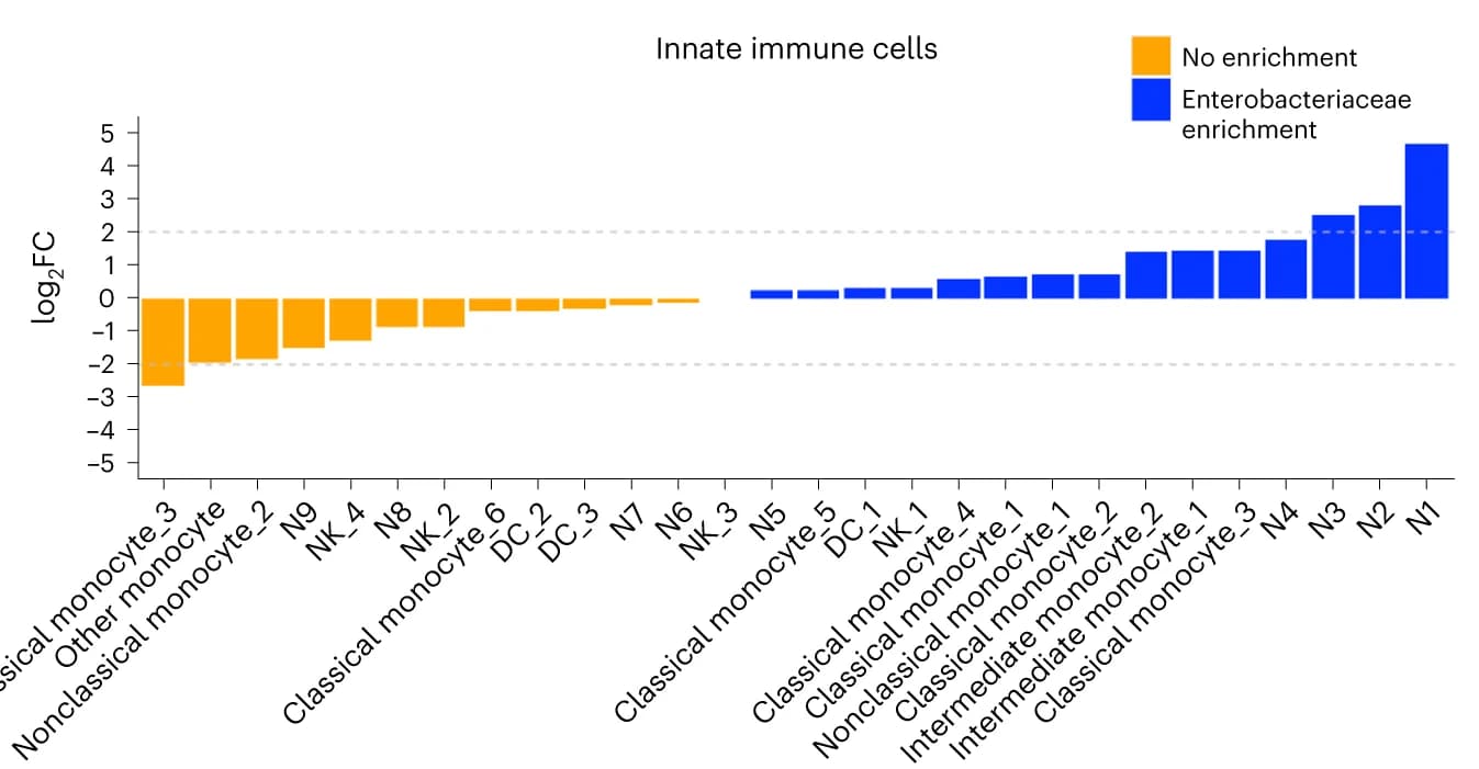 Open access visualization of Bar Plot, Abundance Comparison, Adaptive Immune Cells, T Cells, B Cells