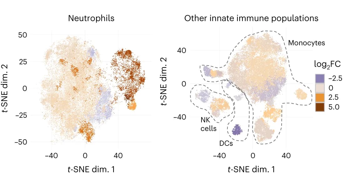 Open access visualization of Scatter Plot, UMAP, t-SNE Plots, Neutrophils, Innate Immune Cells