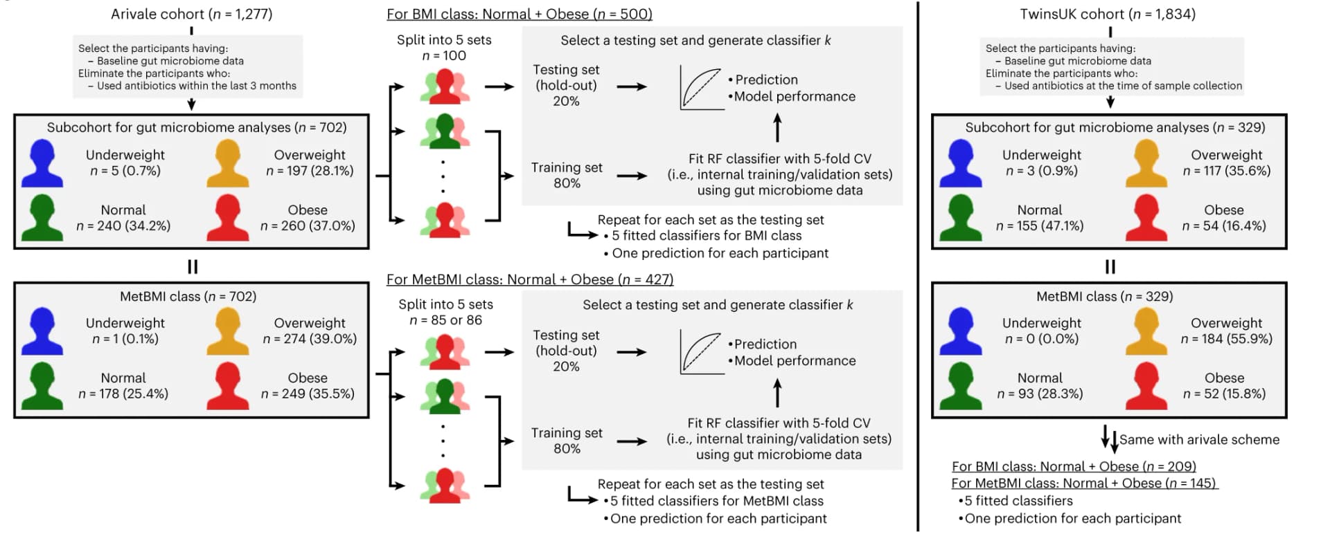 Open access visualization of Workflow, Flowchart, Study Cohorts, Gut Microbiome, Obesity Classifier
