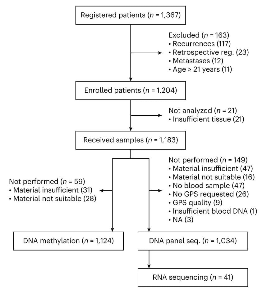 Open access visualization of Workflow, Flowchart, CONSORT Flow Diagram, Patients