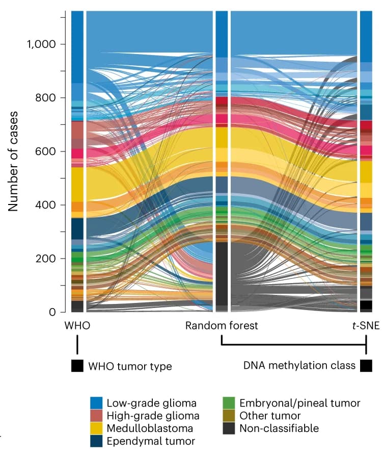 Open access visualization of Sankey, WHO based tumor types, DNA methylation, RF based class prediction, t-SNE analysis