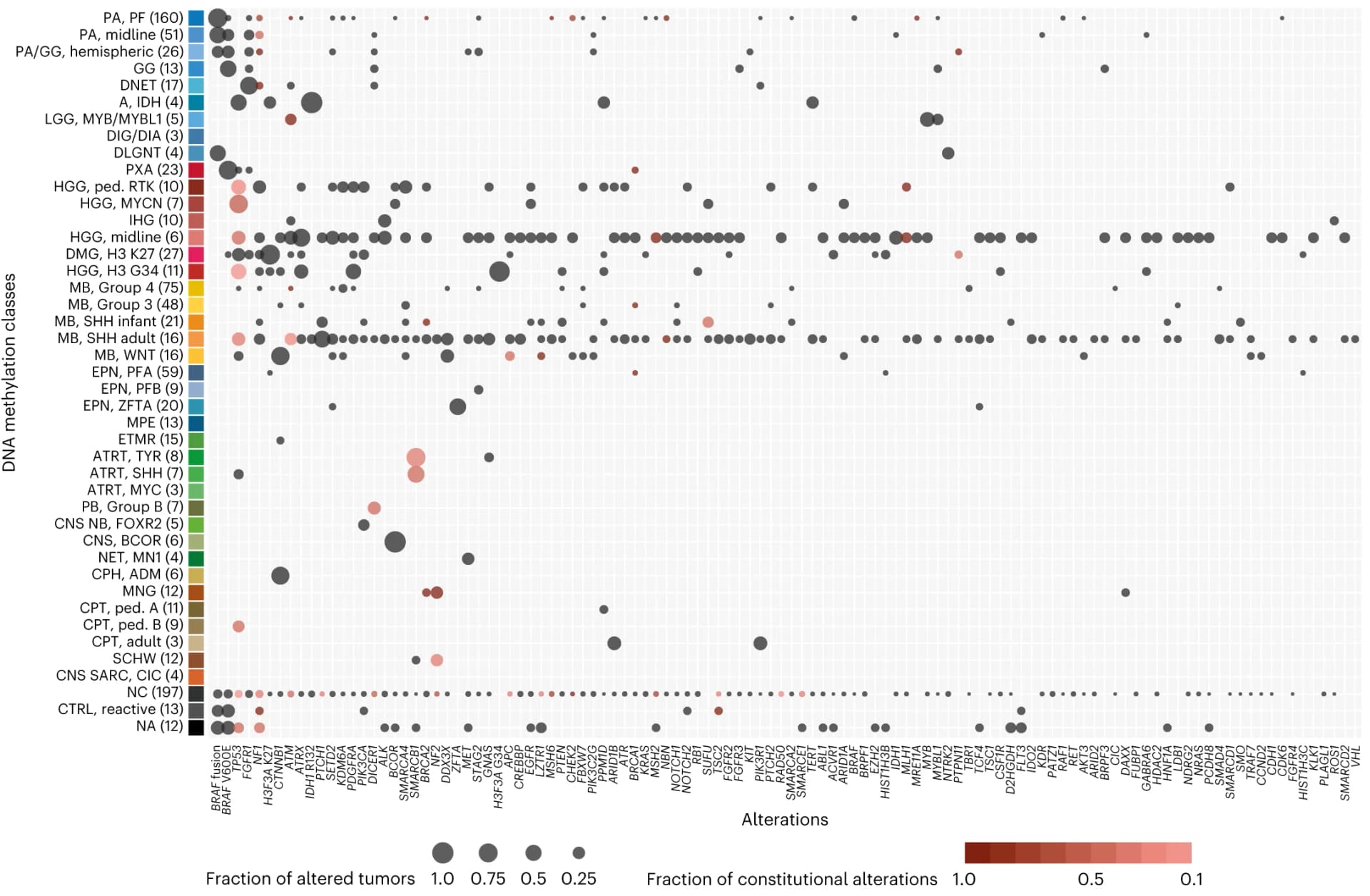 Open access visualization of Bubble Plot, Tumors, DNA methylation, Gene alterations, Sequencing data