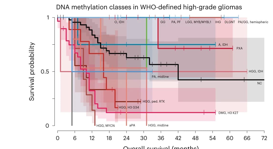 Open access visualization of Survival Curve, Kaplan-Meier estimate, Overall Survival, High-Grade Gliomas, DNA Methylation Class