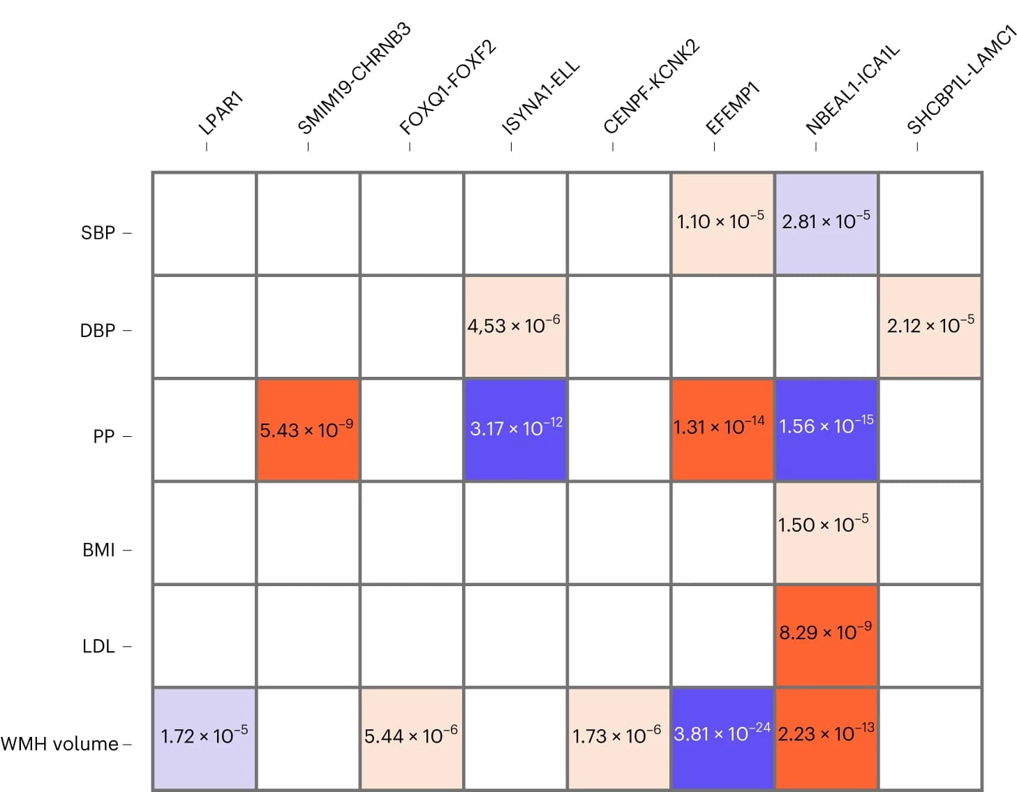 Open access visualization of Heatmap, SNPs, Risk Allele, PVS, Pulse Pressure
