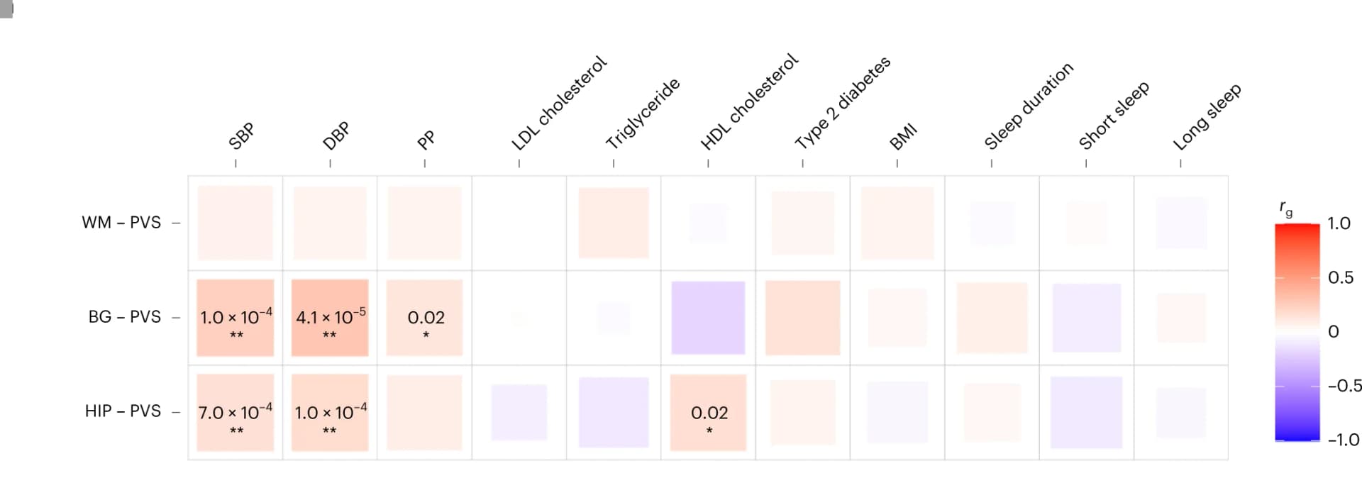 Open access visualization of Heatmap, Genetic Correlation, LD-score Regression, Perivascular Spaces, Risk Factors