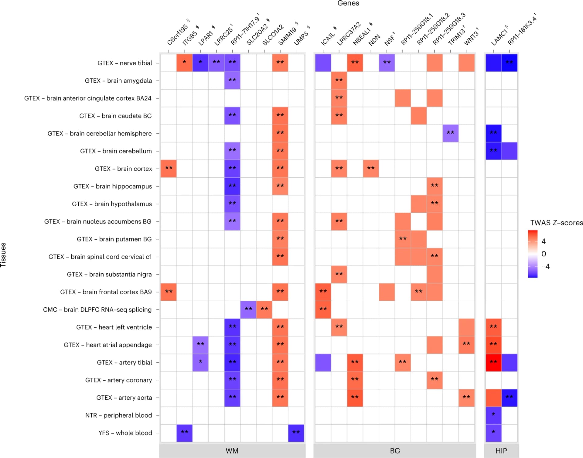 Open access visualization of Heatmap, Gene Expression, Reference Panels, Brain, Peripheral Nerve Tissues
