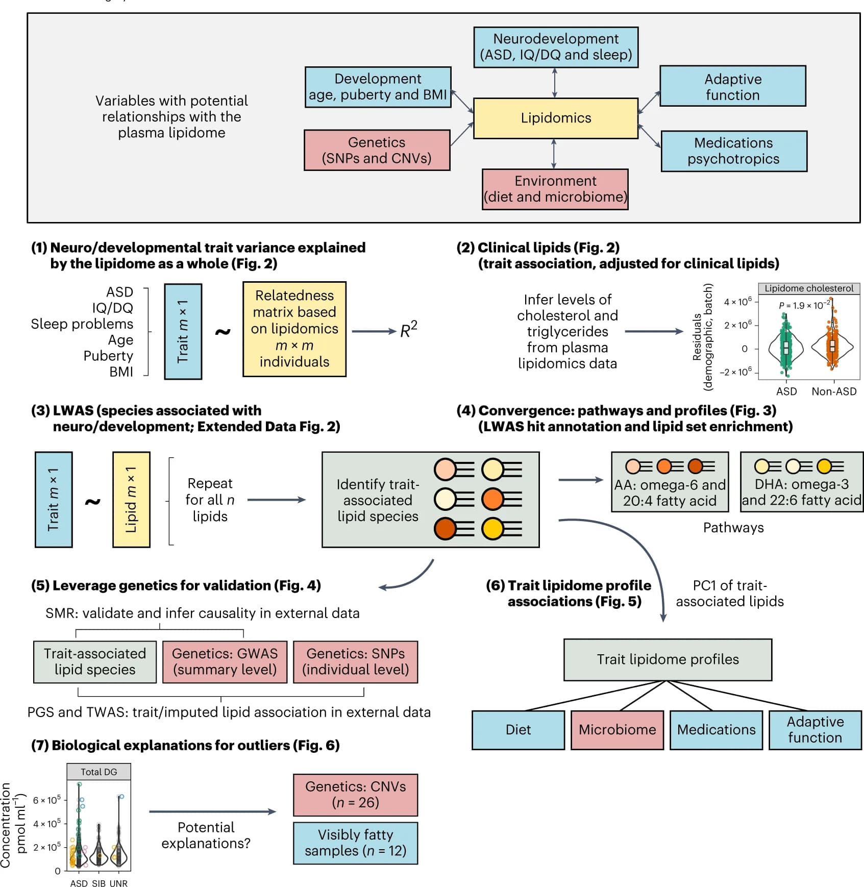 Open access visualization of Workflow, Violin Plot, Phenotypic Data, Lipidomics Data, Omics Data