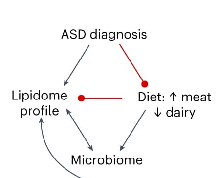 Open access visualization of Pathway, Network, Neurodevelopmental Lipidome Profiles, ASD Diagnosis, Neurodevelopmental Traits
