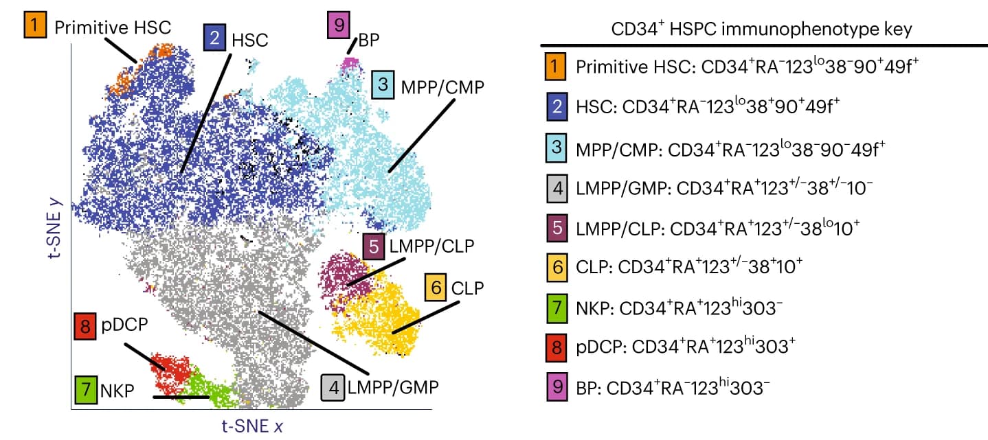 Open access visualization of Scatter Plot, UMAP, PCA, t-SNE projection, Flow Cytometry