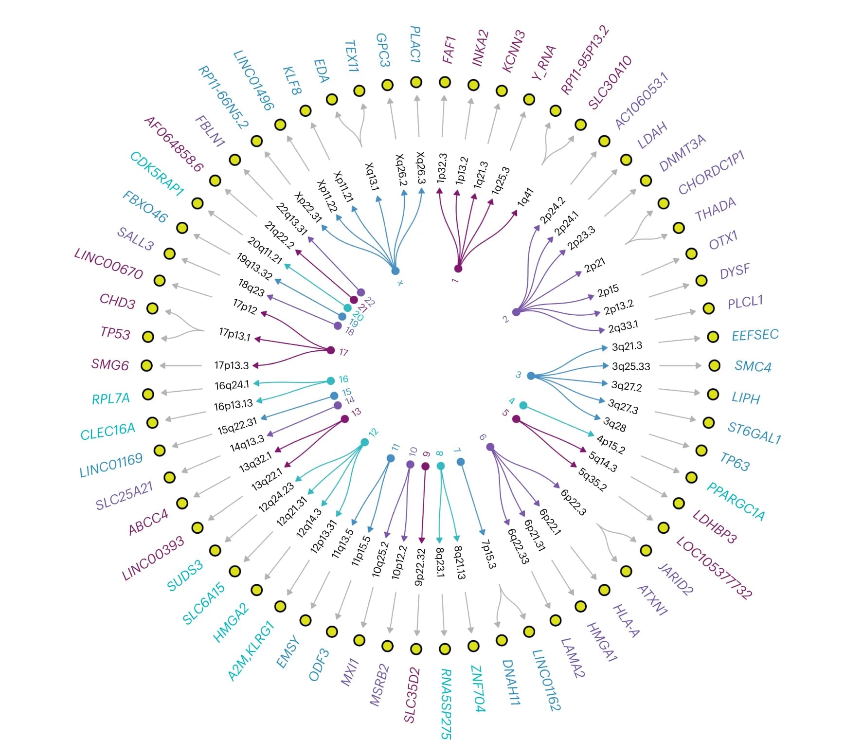 Open access visualization of Pathway, Circular dendrogram, PSA-associated variants, Index variants, LD-based clumping