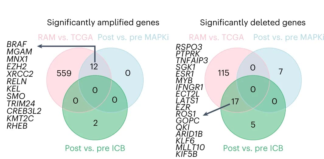 Open access visualization of Venn Diagram, Venn Diagrams, Amplified Genes, Deleted Genes, CNA