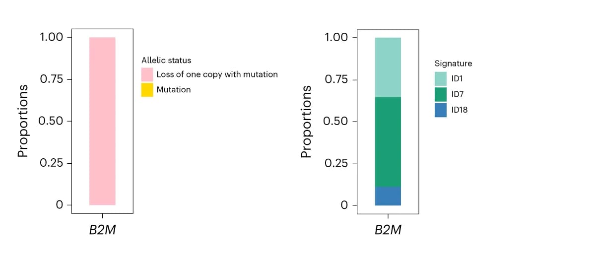 Open access visualization of Bar Plot, Stacked Bar Plot, Copy Number, Mutational Status, SMG