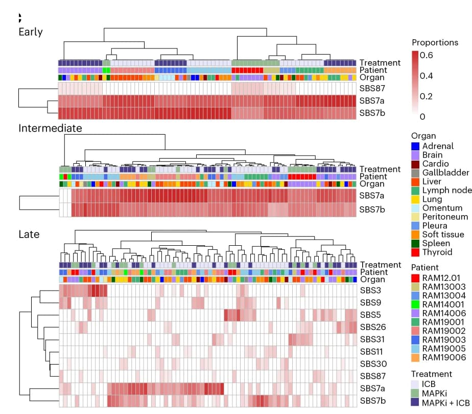 Open access visualization of Heatmap, Clustered, Unsupervised Clustering, Treatment Histories, Mutational Signatures