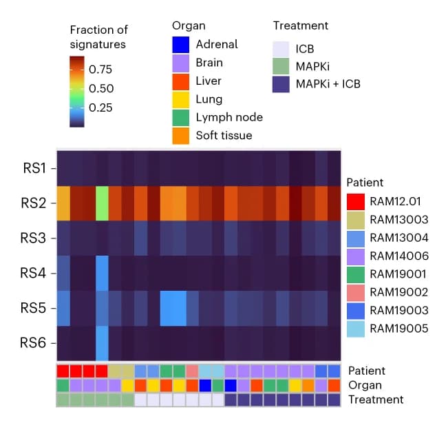 Open access visualization of Heatmap, RS Spectra, Structural Variations