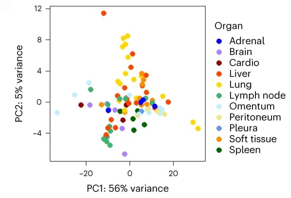 Open access visualization of Scatter Plot, PCA, Transcriptional profiles, RAM tumors, Organ sites