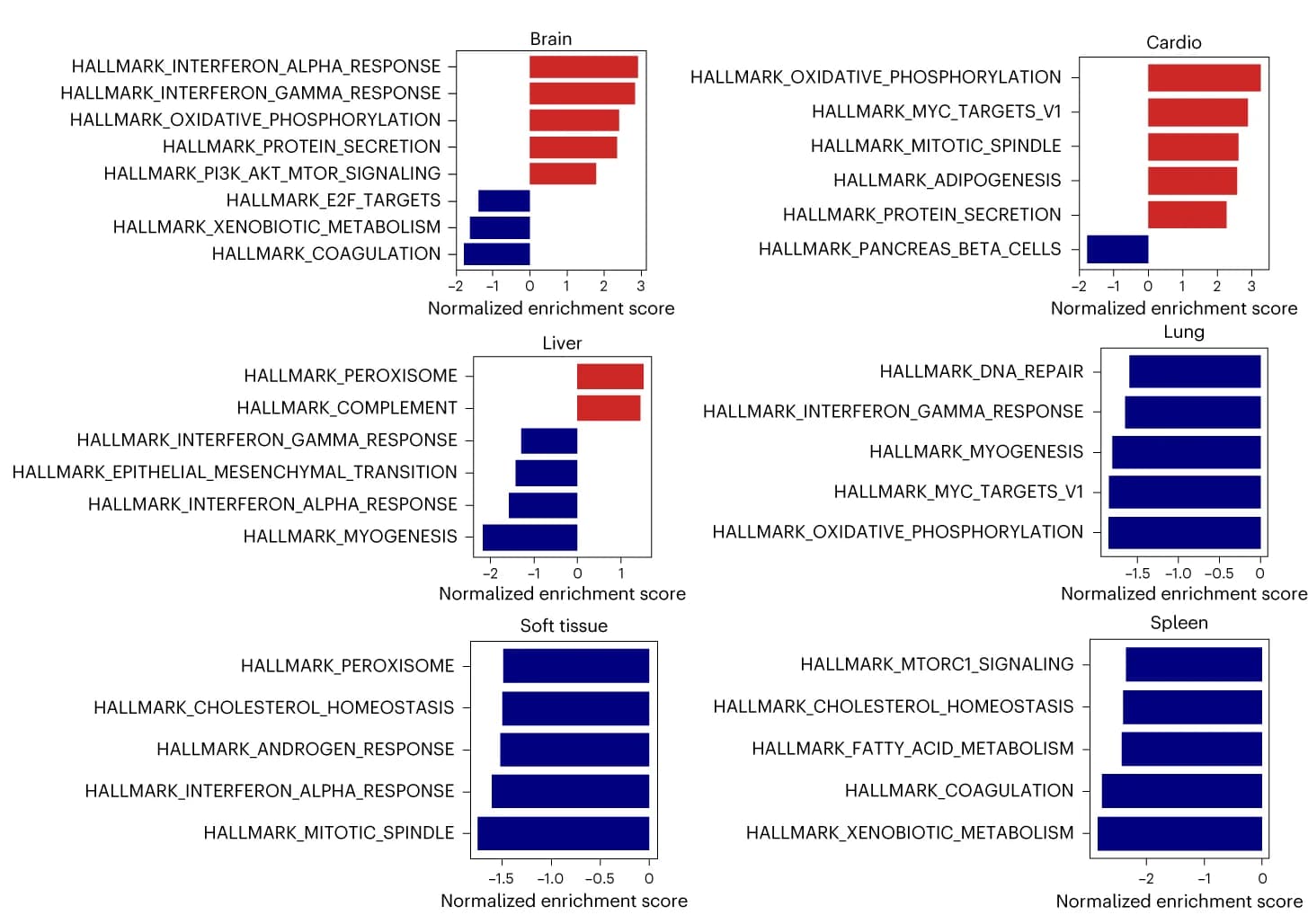 Open access visualization of Bar Plot, Normalized enrichment scores, NESs, Gene sets, Hallmark gene sets
