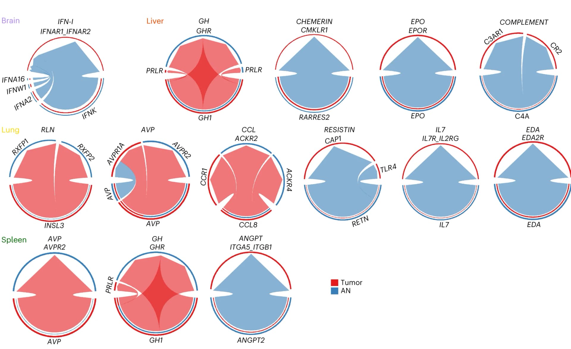 Open access visualization of Chord, Network, Chord Diagrams, Brain, Ligand-Receptor Pairs