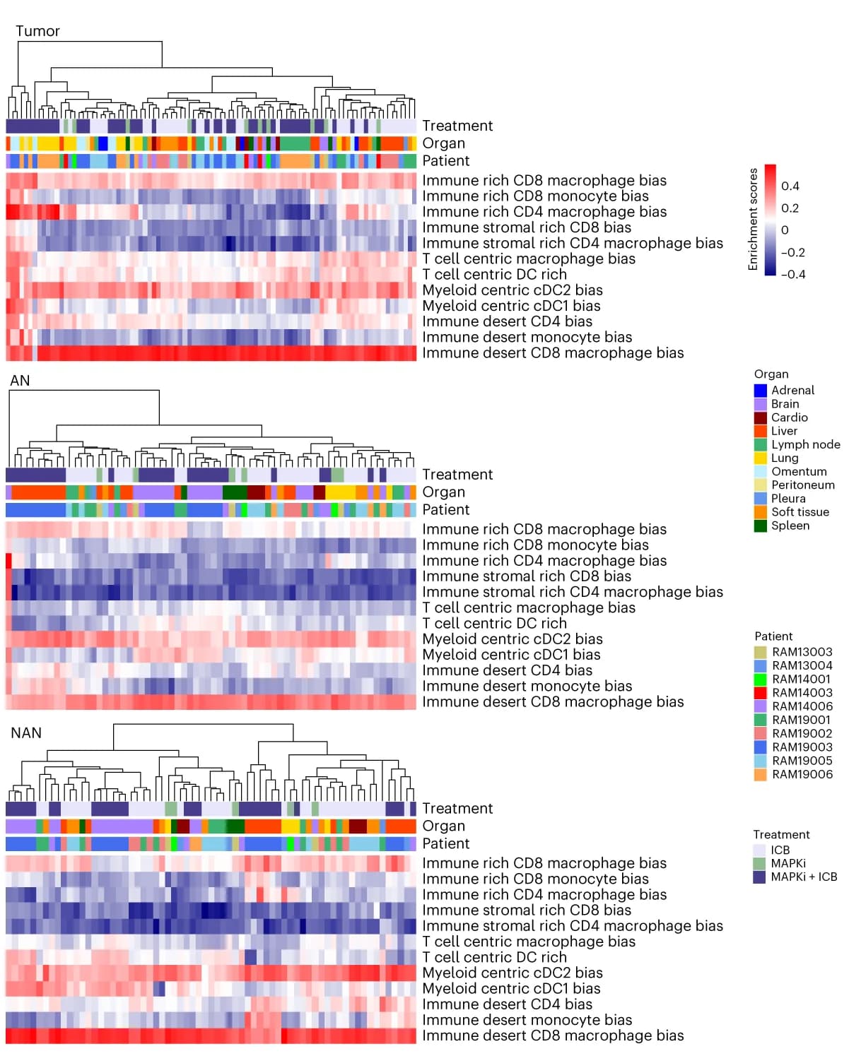 Open access visualization of Heatmap, Clustered, Unsupervised Clustering, Pan-cancer Immune Archetypes, Tumor Compartments