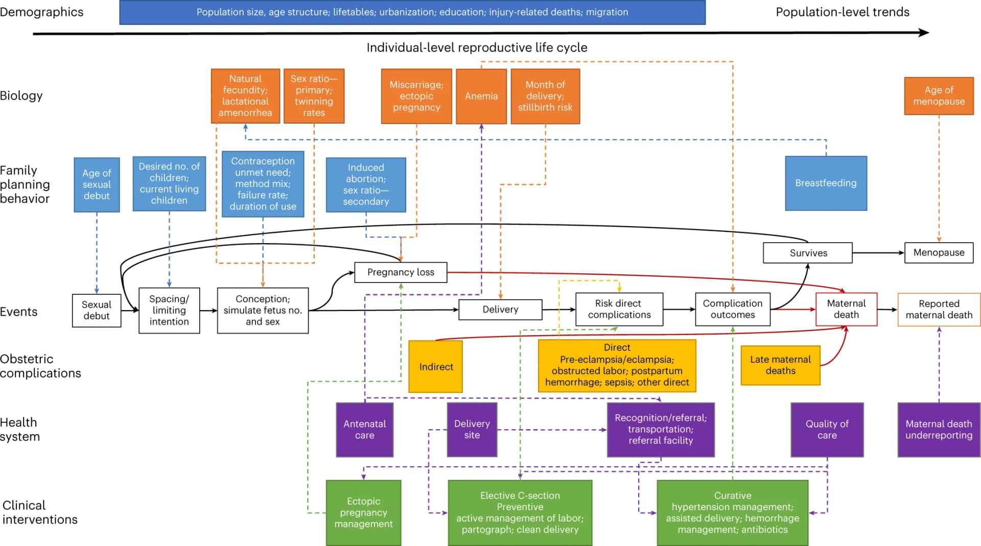Open access visualization of Workflow, Flowchart, Microsimulation Model, Reproductive Histories, Maternal Health