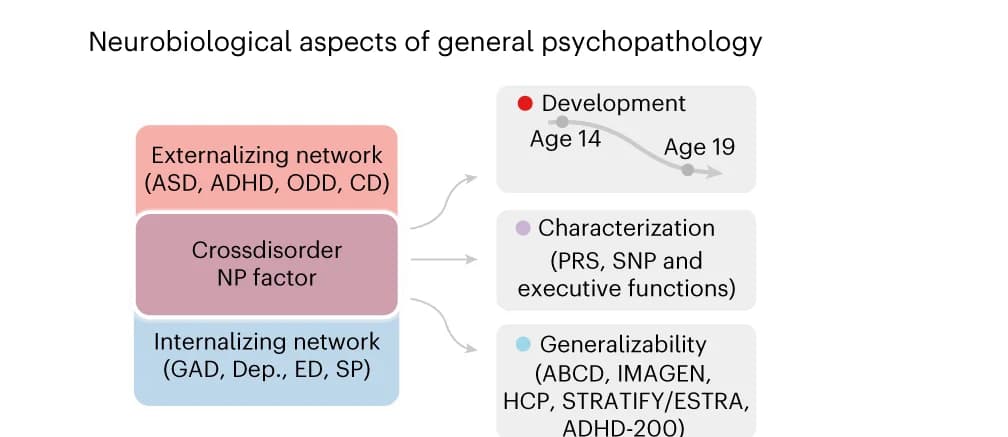 Open access visualization of Workflow, Flowchart, Illustration, Psychopathology, Neurobiology