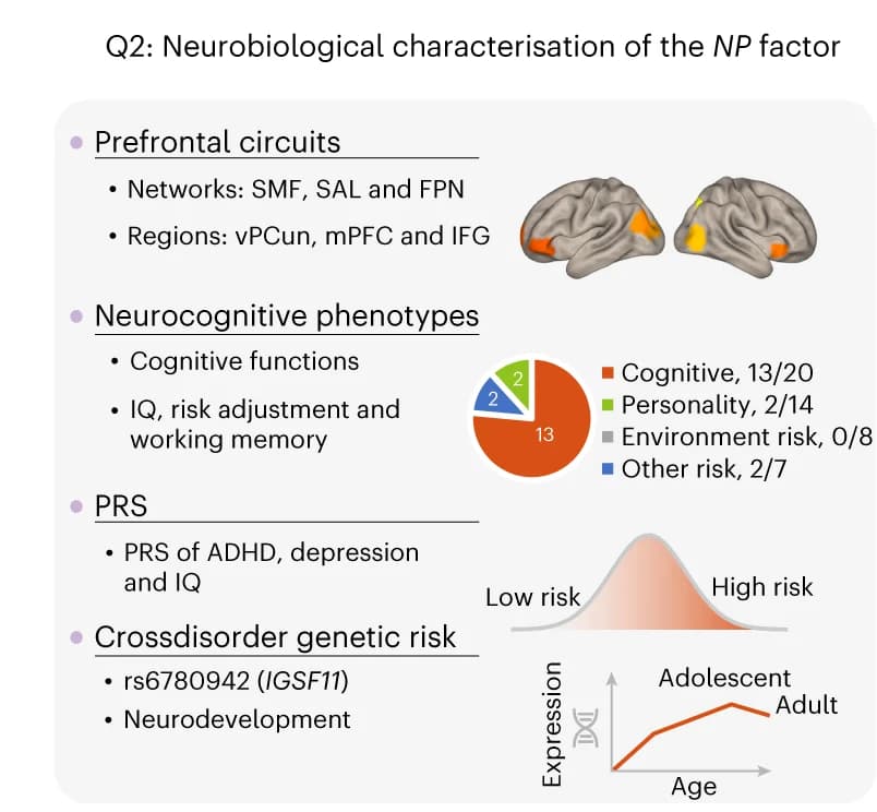 Open access visualization of Pie Chart, Line Plot, Illustration, NP Factor, Neurocognitive Behaviors
