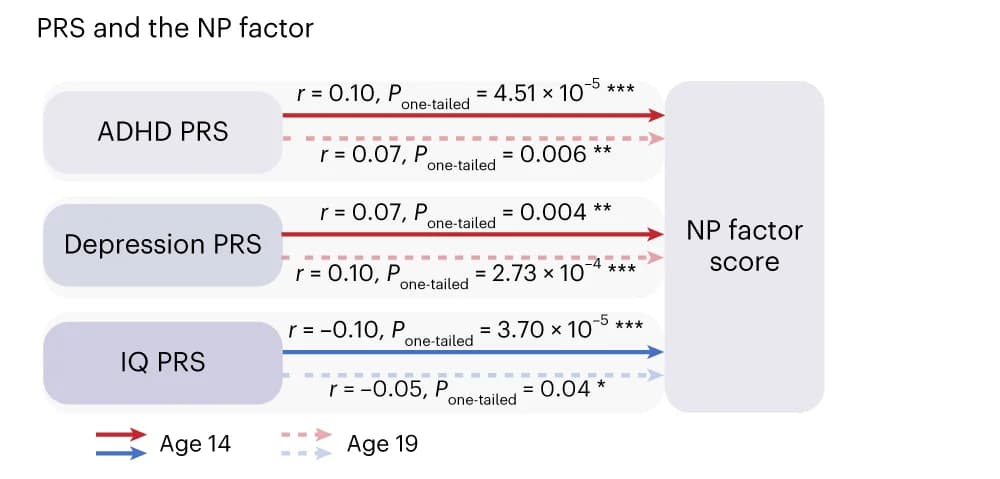 Open access visualization of Workflow, NP Factor, ADHD, Depression, IQ