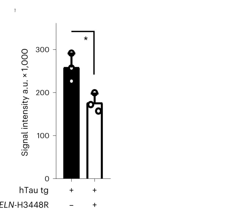 Open access visualization of Bar Plot, Error Bars, Bar Graph, pTau T205, Signal Intensity