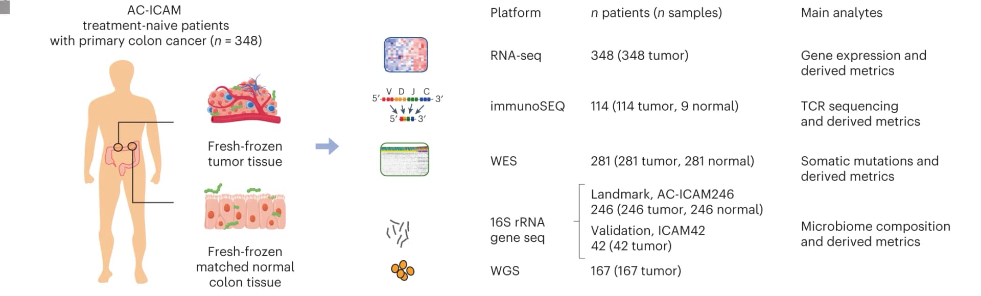 Open access visualization of Workflow, Colon Cancer, RNA-seq, WES, TCR Sequencing